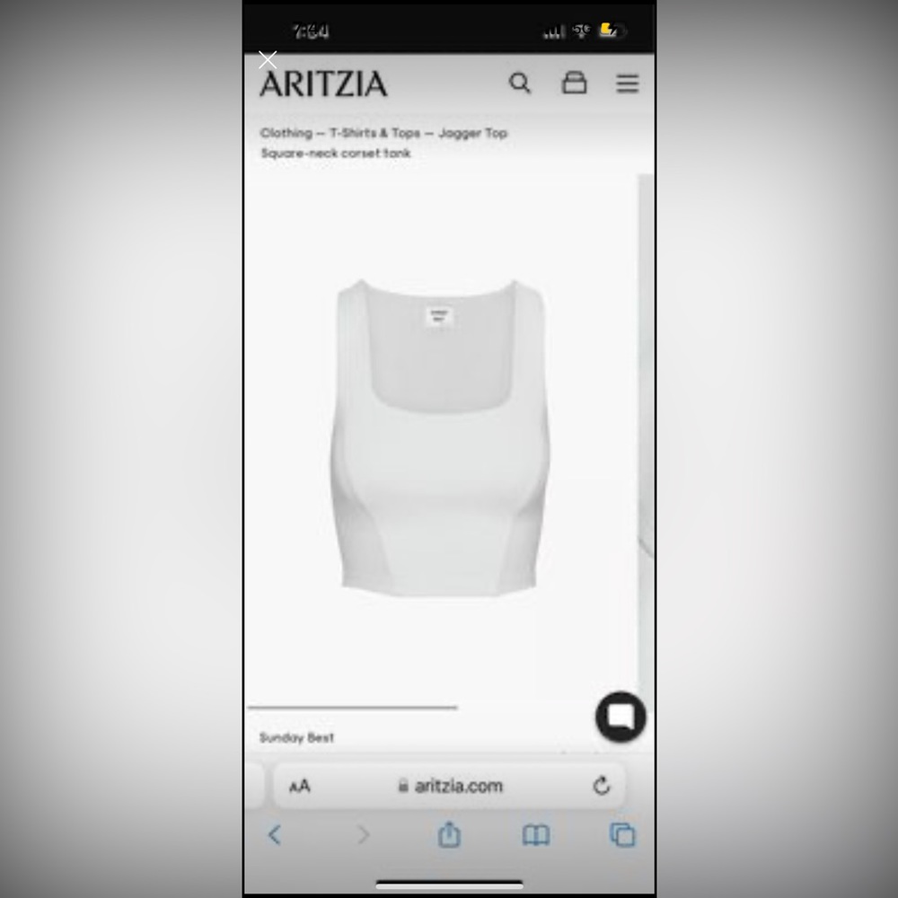 TAGS ON ARITZIA sunday best tank